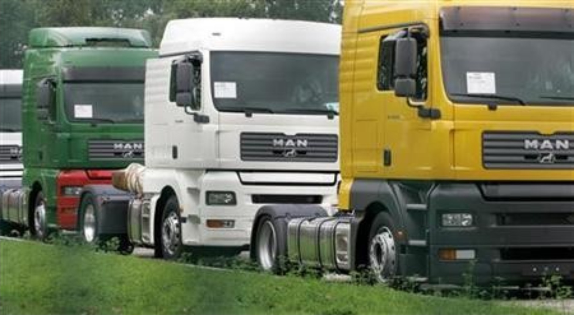 Truck Graphic Web